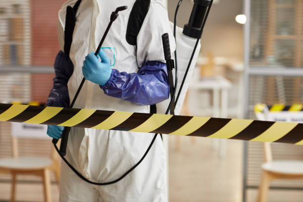 Professional Sewage Cleanup technician working in Zamora, CA
